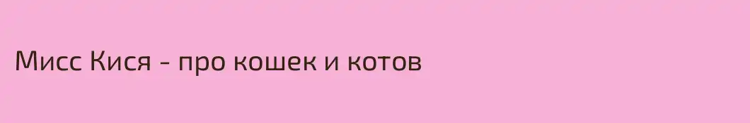 Мисс Кися - про кошек и котов